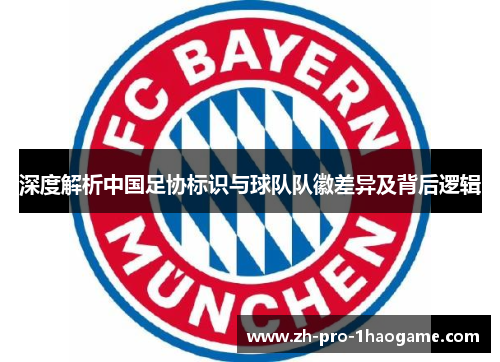 深度解析中国足协标识与球队队徽差异及背后逻辑