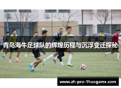青岛海牛足球队的辉煌历程与沉浮变迁探秘