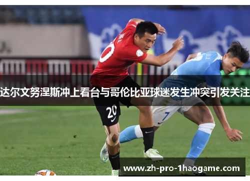 达尔文努涅斯冲上看台与哥伦比亚球迷发生冲突引发关注